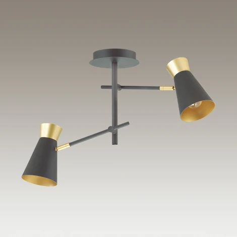 Потолочная люстра Lumion Liam 3790/2C