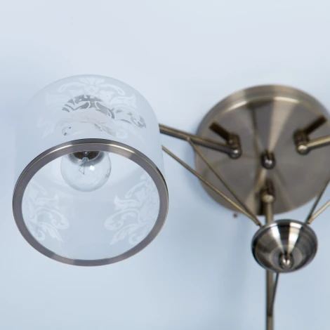 Потолочная люстра Citilux Тулон CL172133