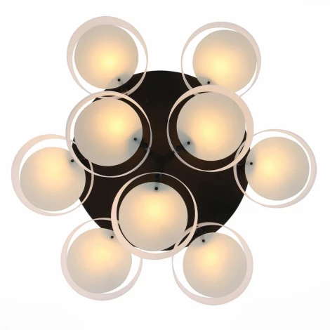 Потолочная люстра ST Luce Foresta SL483.462.09