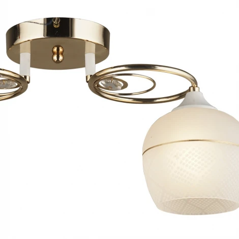 Потолочная люстра Wedo Light Idro 66203.01.10.02