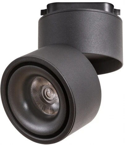 Трековый светильник Arte Lamp Arcturus Track A7716PL-1BK