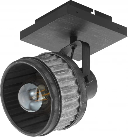 Спот Eglo Turrock 43444 (220V)