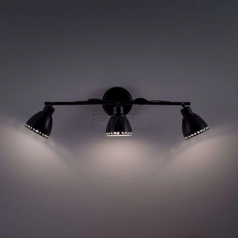 Спот Citilux Робуста CL509532