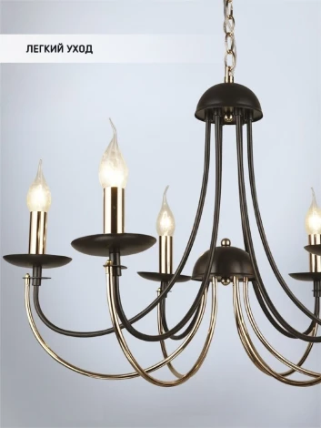 Подвесная люстра Wedo Light Kali WD3540/6H-CF-FGD-CL