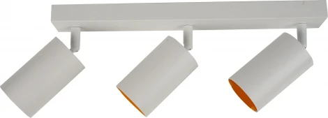 Потолочный светильник спот Brizzi Aras BR08088