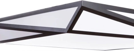 Потолочный светильник Arte Lamp Multi-piazza A1929PL-1BK