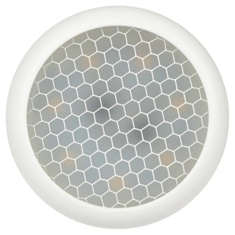 Спот ЭРА OL55 WH OL55 WH