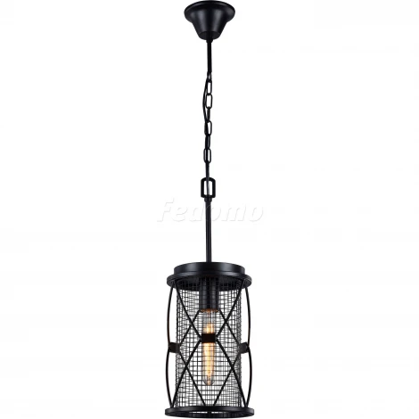 Подвесная люстра Favourite Mesh 1783-1P (220V, на цепи)