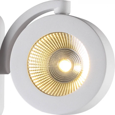 Спот Odeon Light Pumavi 3493/10WL
