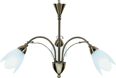 Потолочная люстра Arte Lamp Petal A4905LM-3AB