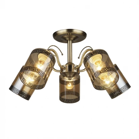 Потолочная люстра Wedo Light Сантади 66229.01.05.05