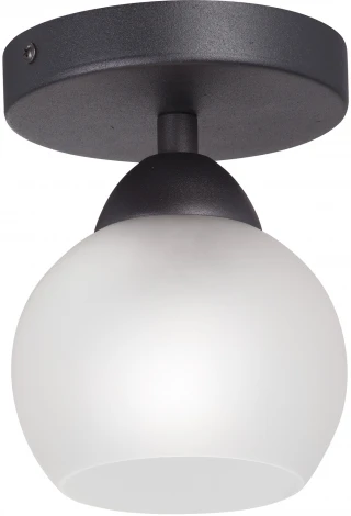 Потолочный светильник V3963-1/1PL Vitaluce