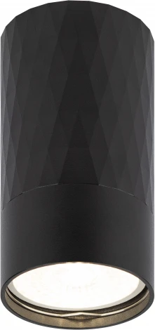 Точечный светильник ЭРА OL31 BK (220V)