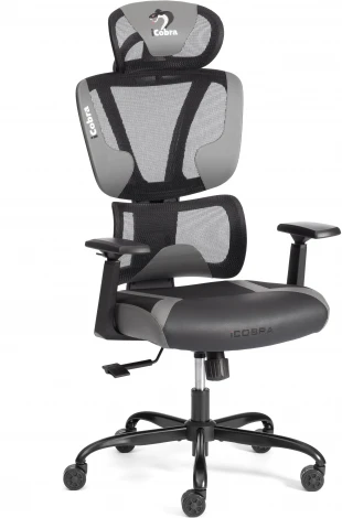 Кресло Tetchair iCobra