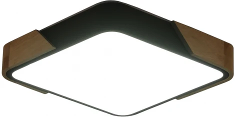 Потолочный светильник Zortes Alberro ZRS.01281.24 (LED, 220V)