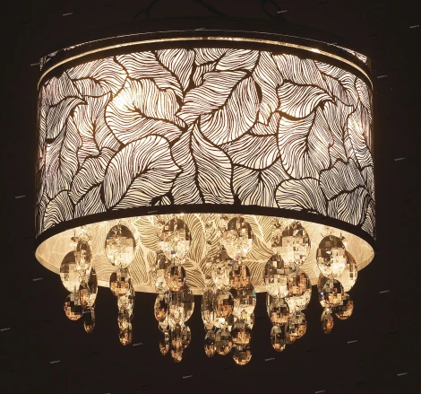 Потолочная люстра Odeon Light Lian 2187/6C