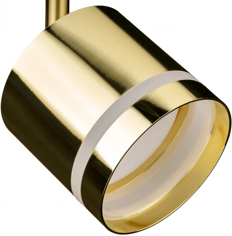 Трековый светильник однофазный 220V Ritter Artline 59868 2