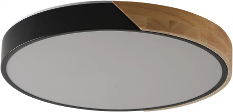 Потолочный светильник круглый Zortes Alberro ZRS.01287.48 (LED, 220V, круглые)