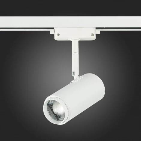 Трековый светильник ST Luce Zoom ST600.536.12 (LED, 220V, круглые)