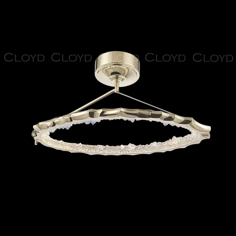 Потолочная люстра светодиодная на штанге кольцо Cloyd Esse 11382 (220V, кольцо)