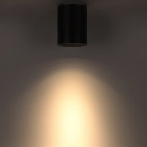 Накладной светильник Ritter Arton 59979 1