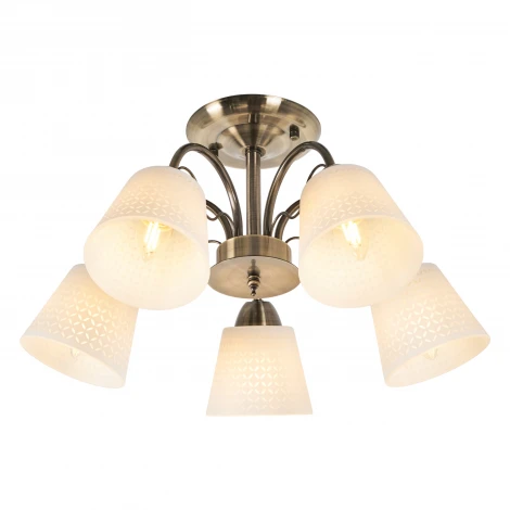 Потолочная люстра MyFar Luiza MR1471-5C (220V)