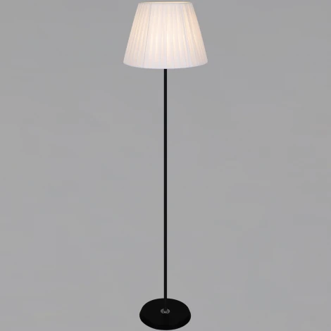 Торшер Reluce 08088-0.6-01 BK (220V)