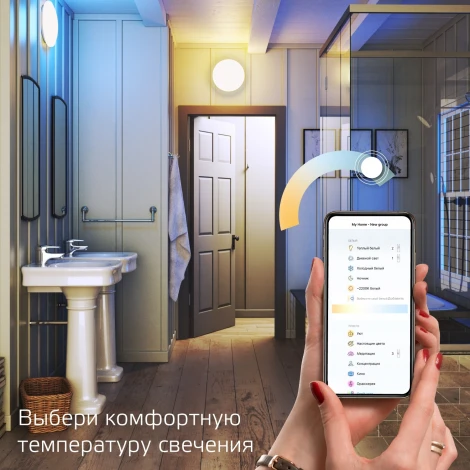 Настенно-потолочный светильник Gauss SmartHome 2050112 (регулировка яркости, LED, 220V, управление смартфоном, голосовое управление, умный дом - Алиса, Маруся, Сири, круглые)