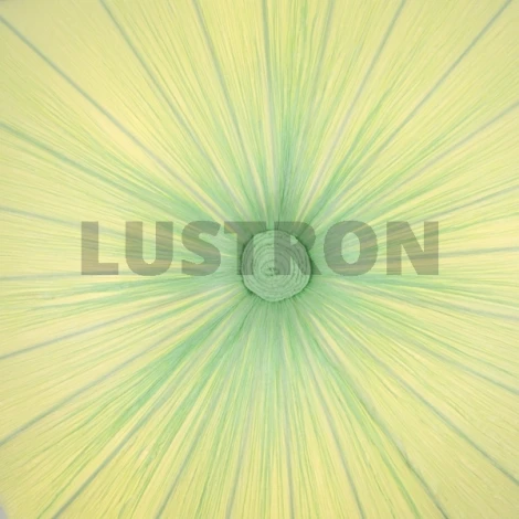 Потолочный светильник ST Luce SL351 SL351.122.08