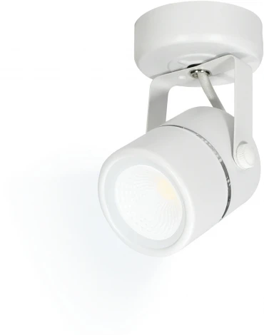 Спот Ritter Arton 59962 3