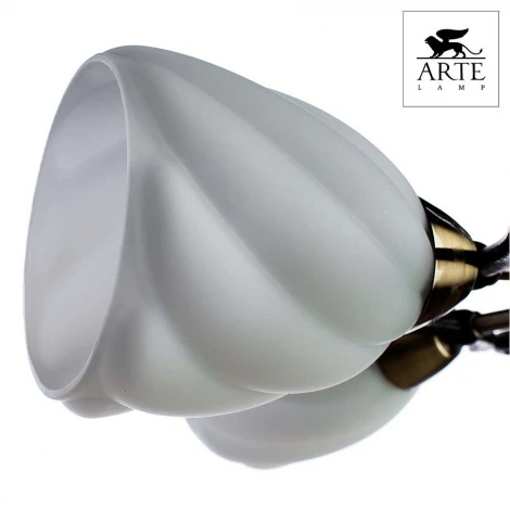 Потолочная люстра Arte Lamp Swirls A6253PL-5BA