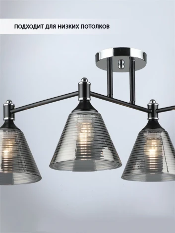 Потолочная люстра Wedo Light Anneta WD3619/4C-BK-CR-SMK