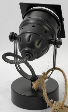 Спот Lussole Loft Denver LSP-9118