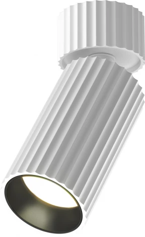 Потолочный светильник накладной Maytoni Calipso C108CL-01-GU10-W