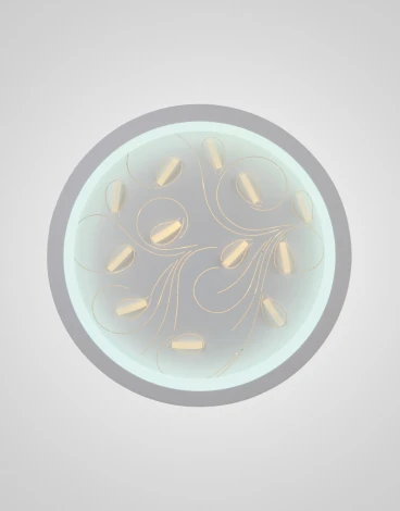 Потолочный светильник круглый Мелодия Света SS1L 000023449