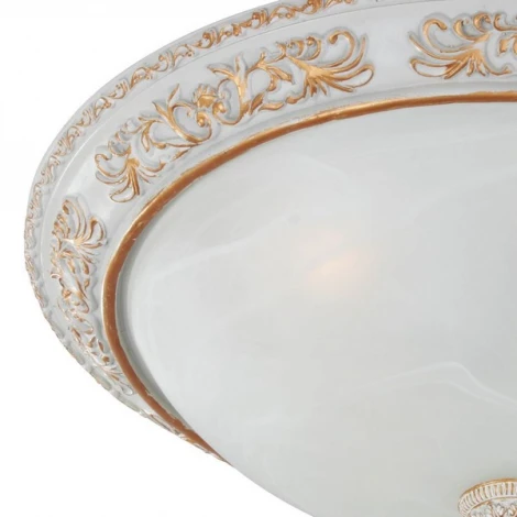 Потолочный светильник Favourite Plafond 1446-4C