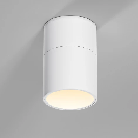 Светильник потолочный светодиодный Elektrostandard Rolly 25112/LED белый (220V, круглые)