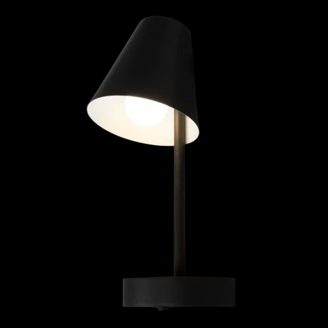 Настенные светильники Loft It Shelf 10216/1W Black (220V, выключатель)