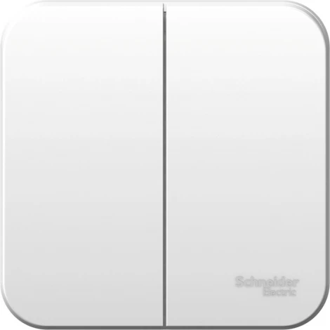 Выключатель накладной двухклавишный (белый) Systeme Electric Blanca BLNVA065001