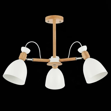 Потолочная люстра Evoluce Balcamo SLE103802-03 (220V)