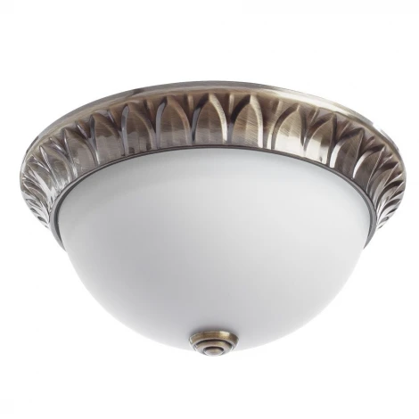 Потолочный светильник Arte Lamp Porch A7838PL-2AB