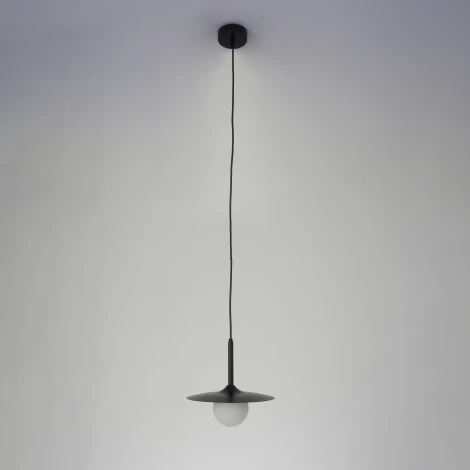 Подвесной светильник Zortes Lümi ZRS.2436.25