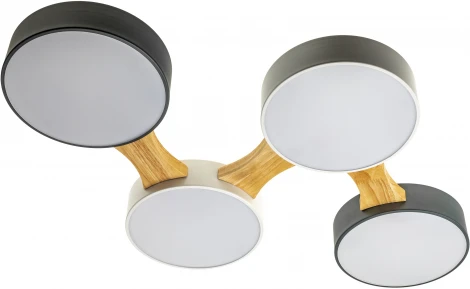 Потолочный светодиодный светильник Ritter Scandia 52071 9