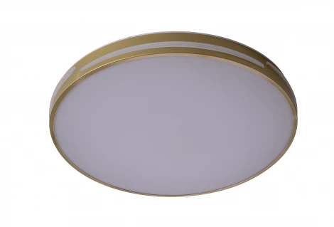 Потолочный светильник круглый со спотами Zortes Gabby ZRS.90610.50 (LED, 220V, круглые)