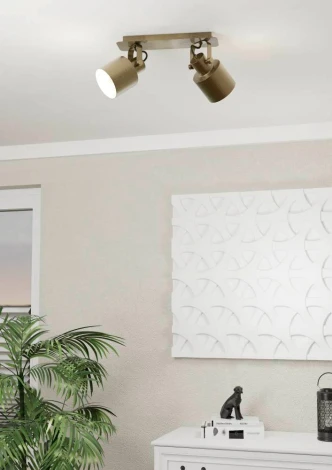 Спот Eglo SOUTHERY 43818