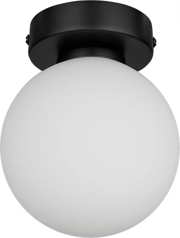 Настенно-потолочный светильник 33 Идеи WLL105.17BL-S01WH (220V, шар)