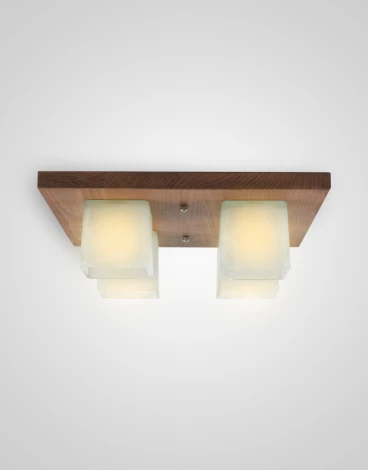 Потолочный светильник прямоугольный Мелодия Света SS1N 000036798