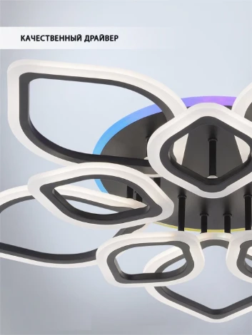 Потолочная люстра Seven Fires Feri SF5029/11C-BK-RGB