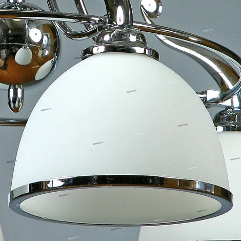 Brizzi Almeria MA02401CB/004 Chrome