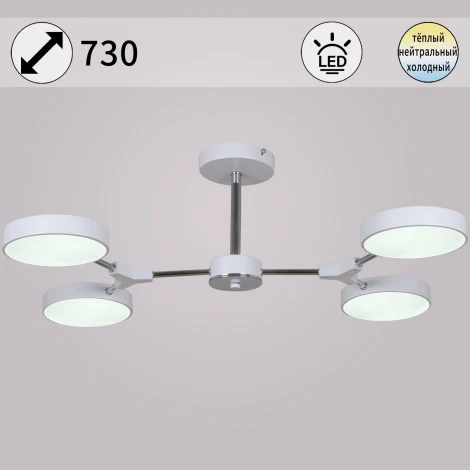 Потолочная люстра светодиодная на штанге Reluce 13246-4.3-04 (220V)